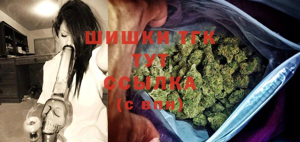 мдпв Тобольск