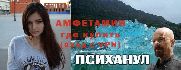мдпв Тобольск